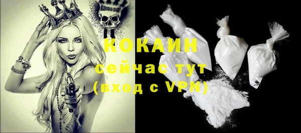 крисы Медвежьегорск