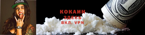 амф Анива