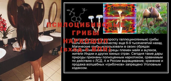 таблы Михайлов