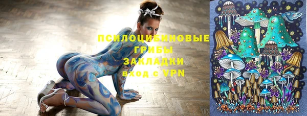 амф Медногорск