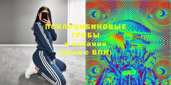 амф Медногорск