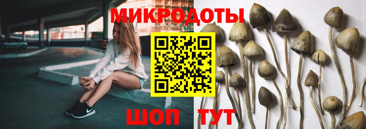 Псилоцибиновые грибы Psilocybine cubensis Тавда