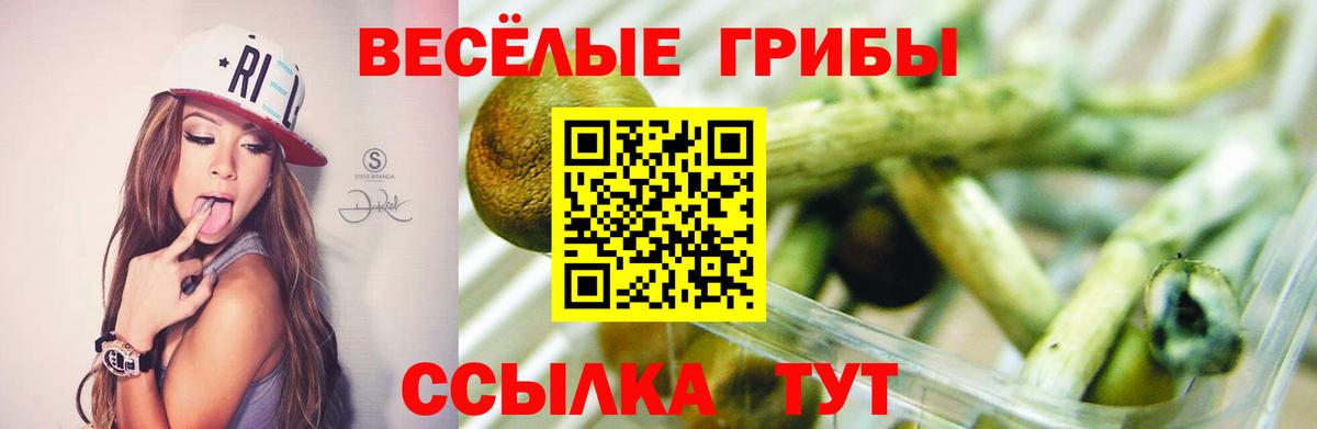 Тавда  Псилоцибиновые грибы ЛСД  Вход с VPN 